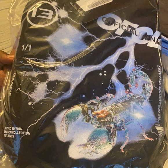 OVERSIZED SCORPION GRAPHIC HOODIE - Picture 3 of 3